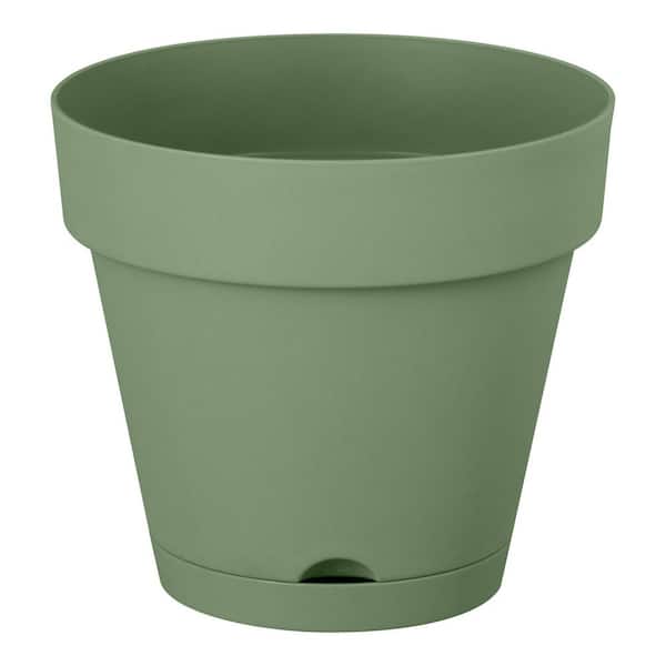 Vivienne Small Green Plastic Round Self-Watering Planter with Attached Saucer (6 in. L x 6 in. W x 5.51 in. H)