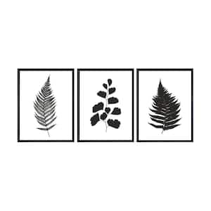 Botanical Ferns Framed Canvas Wall Art - 16 in. x 24 in. Each, by Kelly Merkur 3-Piece Set Black Frames