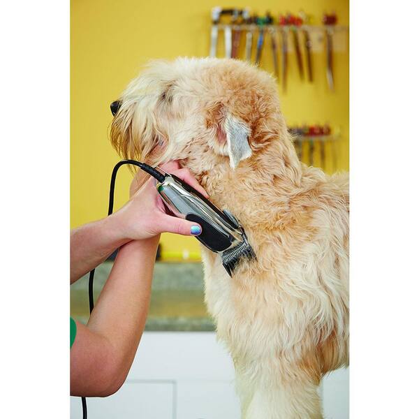 Andis EasyClip Whisper Pet Clipper Set 23585 - The Home Depot Andis EasyClip Whisper Pet Clipper Set 23585 - The Home Depot