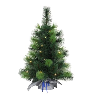 Pre-Lit 2 ft. Table Top Artificial Christmas Tree with 35-Lights in Silver Sac, Green