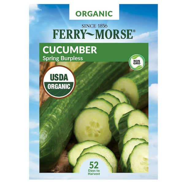 Organic Cucumber Spring Burpless Fruit Seed