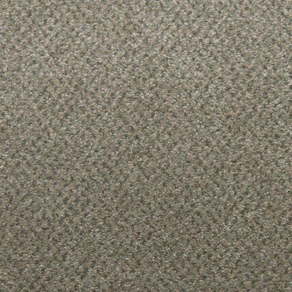Home Decorators Collection 8 in. x 8 in. Texture Carpet Sample - Sweet Dreams II -Color Jasper