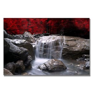 16 in. x 24 in. Red Vison Canvas Art
