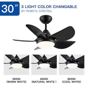 Atalanta 30 in. Indoor Black LED Ceiling Fan with Reversible Motor and Dimmable