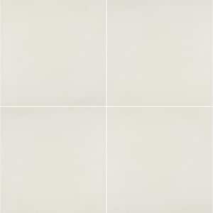 MSI Beton Glacier 24 in. x 24 in. 0.38 in. Matte Porcelain Paver Floor and Wall Tile ( 4 Pieces/640 sq. ft./Pallet)