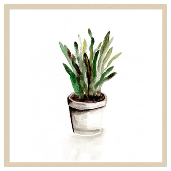 Amanti Art Potted Botanicals III by Marcy Chapman 33 in. W x 33 in. H. Wood Framed Wall Art Print Framed in Brown