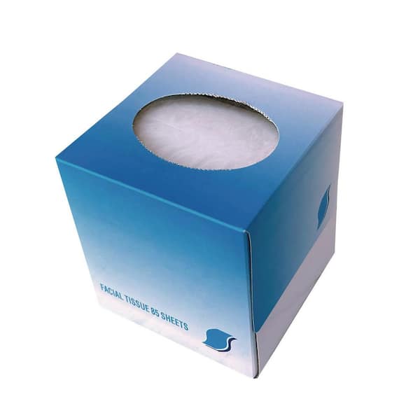 GEN Facial Tissue Cube Box, 2-Ply, White, 85-Sheets/Box, 36