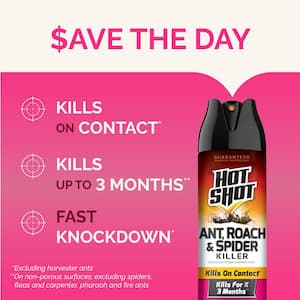 17.5 oz. Ant, Roach, and Spider Insect Killer Aerosol Spray Fresh Floral Scent (2-Pack)