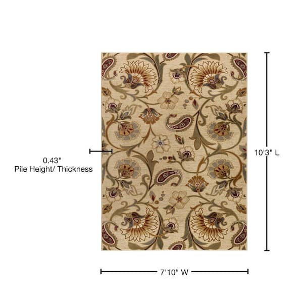  Mark&Day Area Rugs, 8x11 Nathaly Transitional Ivory