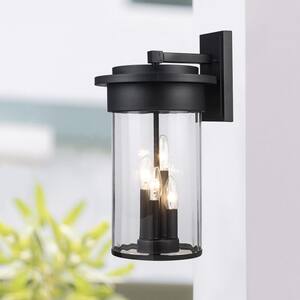 Carmel 4-Light Black Outdoor Wall Light Fixture with Clear Glass