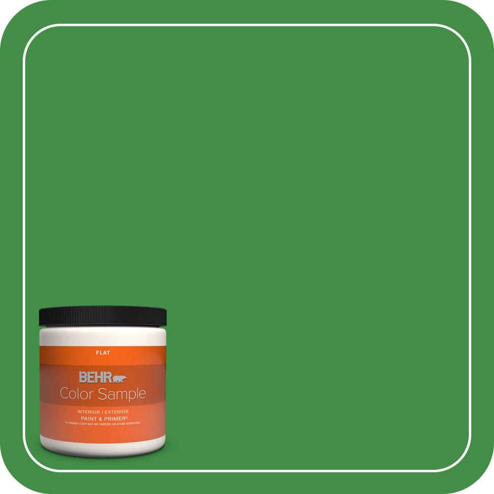 8 oz. #P390-7 Park Picnic Flat Interior/Exterior Paint & Primer Color Sample price history on PriceWatchPro