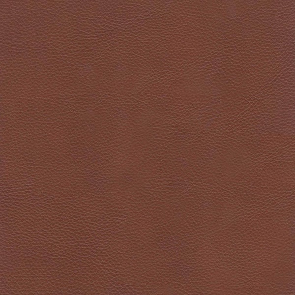 Hydeline Venice 62 in. Cinnamon Brown Top Grain Leather Zero