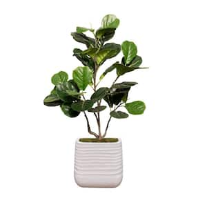 Artificial Faux Fig Tree 47 in. High Fake Plant Real Touch with Eco Planter