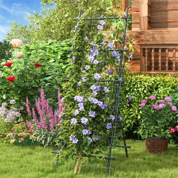 ITOPFOX 74 in. A-frame Stable Structure Tall Garden Trellis