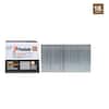 Paslode 1-1/2 in. x 18-Gauge Galvanized Brad Nails (2000 per Box)