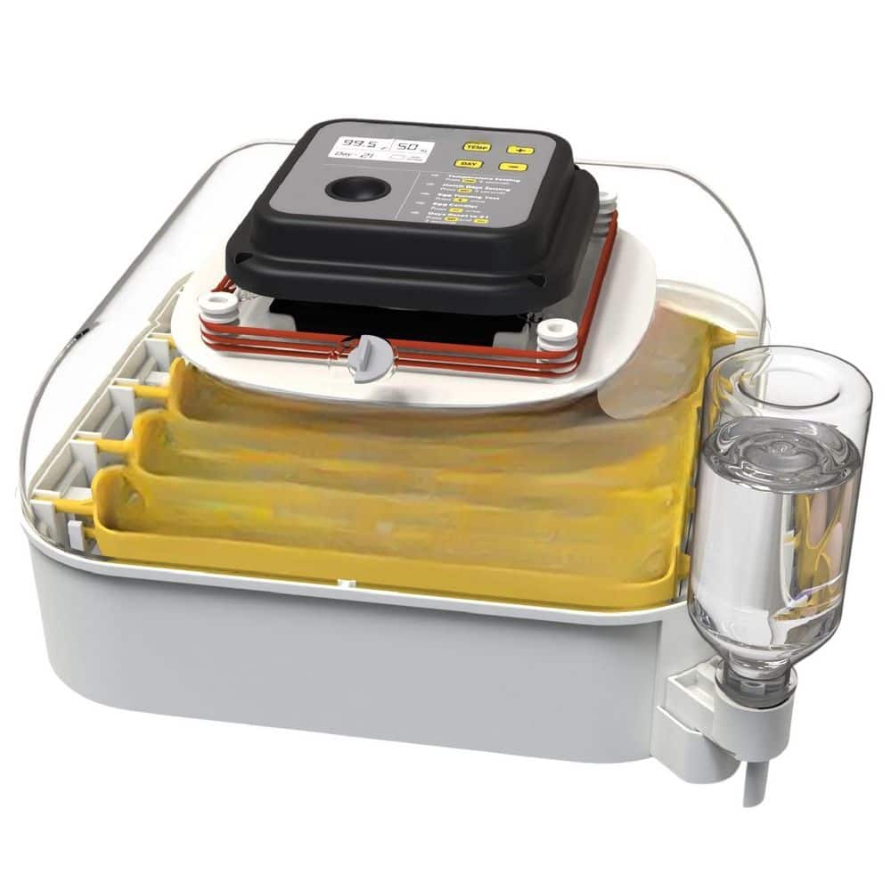 30 Egg Incubator with Humidity Display Egg Candler Automatic Egg Turner for Hatching Chickens Temperature Equipment price history on PriceWatchPro