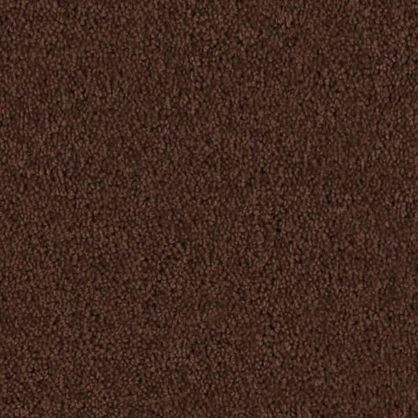 Beaulieu Carpet Sample - Team Builder - In Color Rustic Brown 8 in. x 8 in.