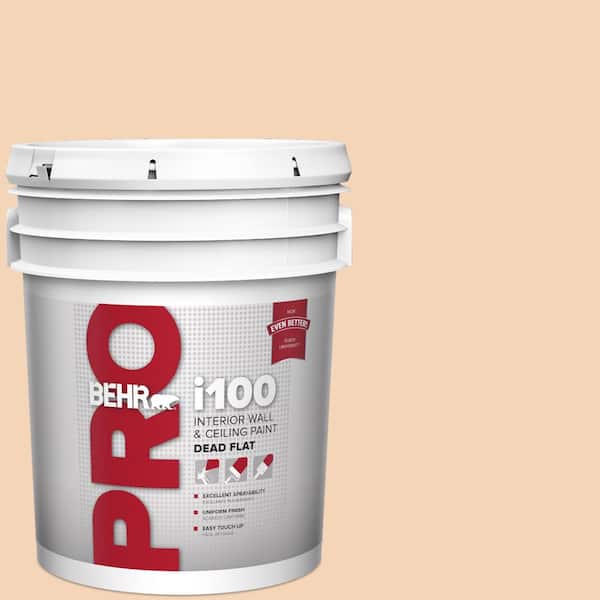 BEHR PRO 5 gal. #BXC-37 Miami Stucco Dead Flat Interior Paint