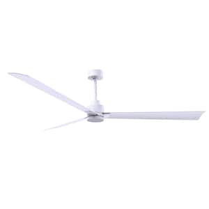 Alessandra 72 in. 6 fan speeds Ceiling Fan in White with Remote Control Included