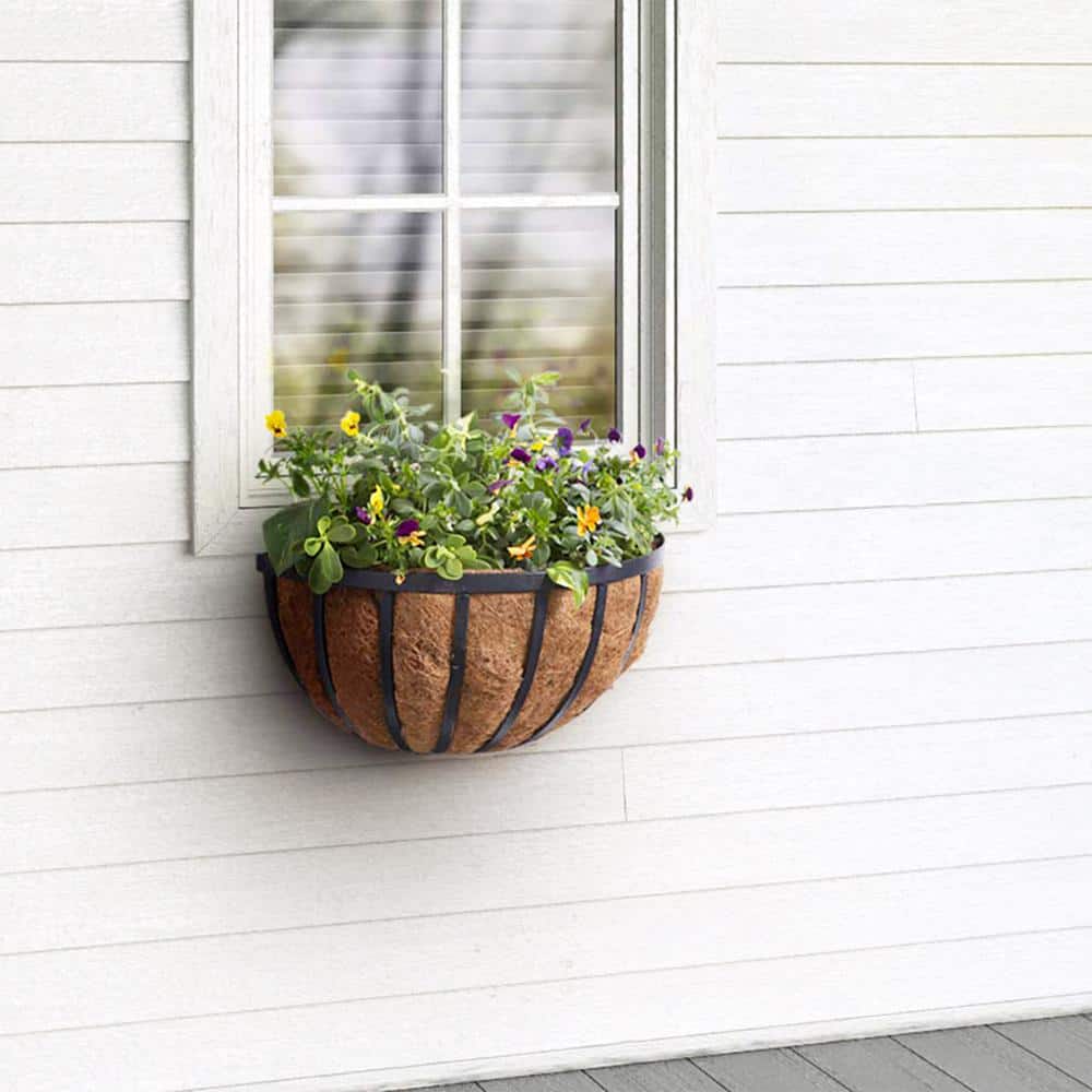 Arcadia Solstice Large Oval Black Metal Wall Planter with Coconut Liner, 20-inch