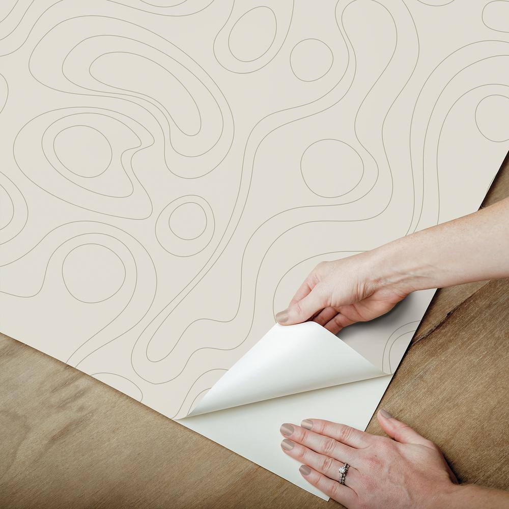 Emily Rayna Lineation Peel and Stick Wallpaper