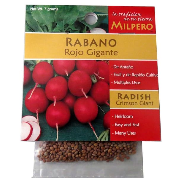 Crimson Giant Radish Seed