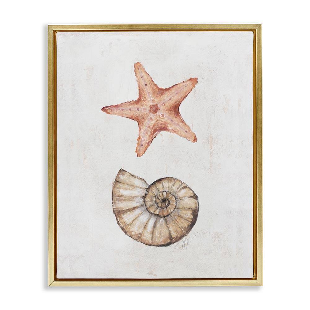 Subtle Sea Life by Filippo Ioco Gold Floater Frame Coastal Graphic Art Print 31 in. x 25 in. price history on PriceWatchPro