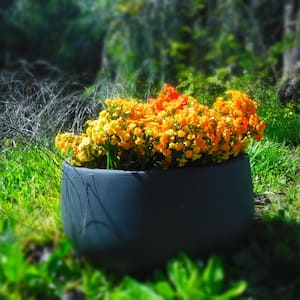 Large 19.7 in. x 19.7 in. x 9.8 in. Granite Color Lightweight Concrete Modern Low Bowl Planter