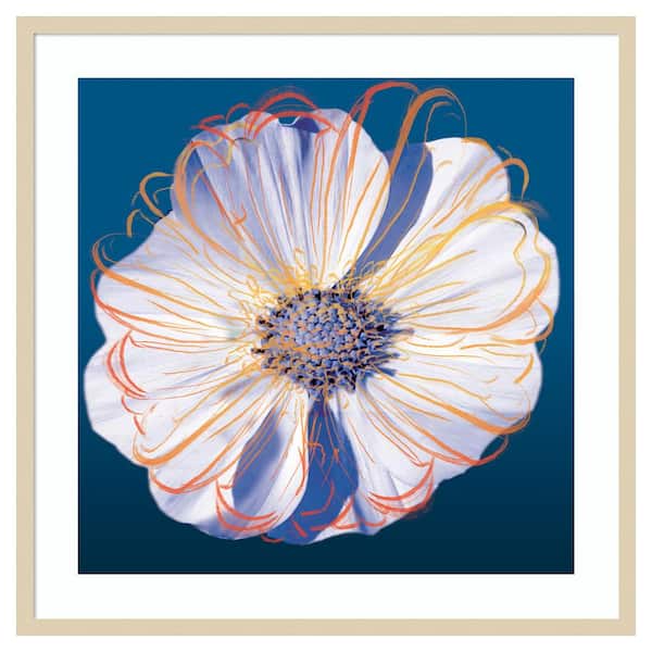 Amanti Art Flower Pop Pastel II by Marie Elaine Cusson 33 in. W x 33 in. H. Wood Framed Wall Art Print Framed in Brown
