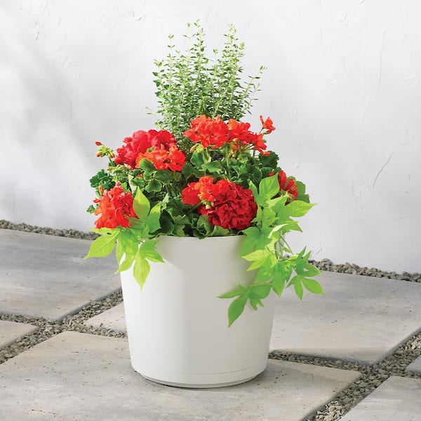 12 in. Kyra Medium Cottage Stone Resin Planter (12 in. D x 11 in. H) with Attached Saucer