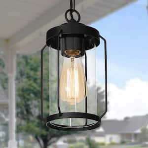 Modern Black Outdoor Hanging Light, Spera 1-Light Lantern Cage Garage Outdoor Ceiling Lights with Clear Shade