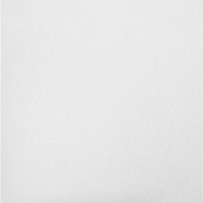 Sahara 2 ft. x 2 ft. Lay-in Ceiling Tile ( 64 sq. ft. / Case)