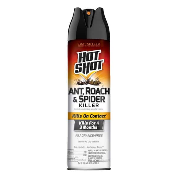 Hot Shot 17.5 oz. Unscented Ant, Roach and Spider Aerosol Insert Killer