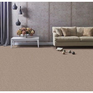 Founder - Author - Brown 18 oz. SD Polyester Texture Installed Carpet