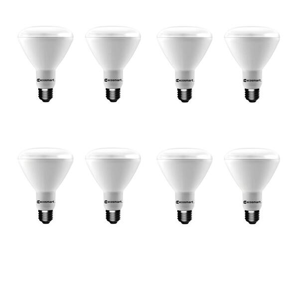 ecosmart led daylight home depot