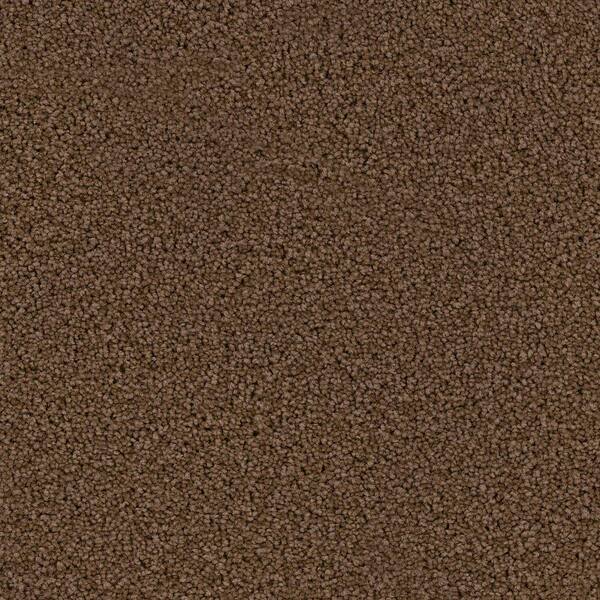 TrafficMaster Carpet Sample - Hideaway I - Color Belle Haven Texture 8 in. x 8 in.