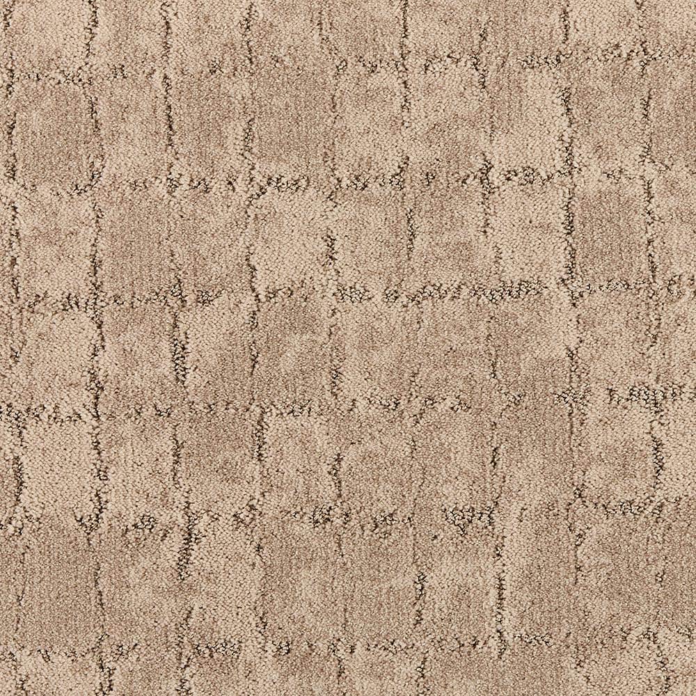 8 in. x 8 in. Pattern Carpet Sample - Posh Pattern -Color Dazzling price history on PriceWatchPro