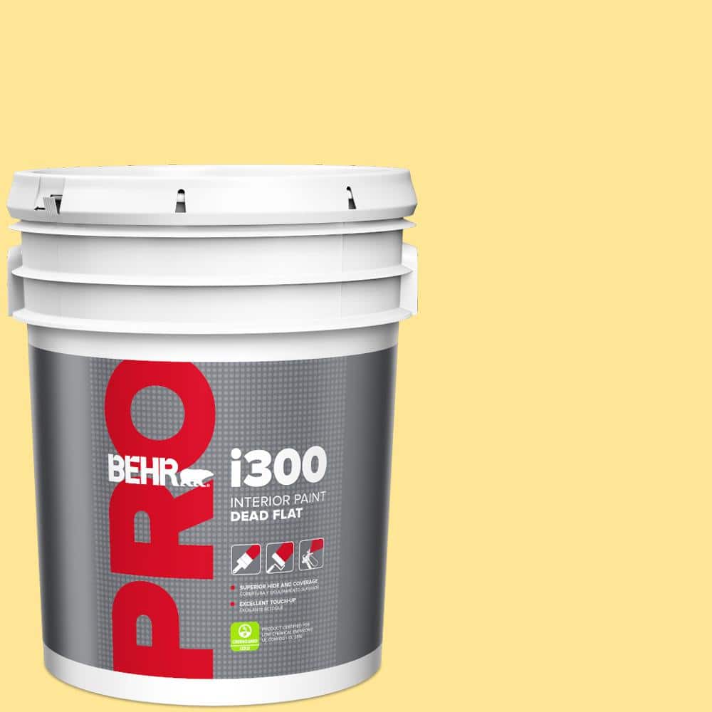5 gal. #390B-4 Chilled Lemonade Dead Flat Interior Paint price history on PriceWatchPro