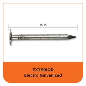 1-3/4 in Electro Galvanized Roofing Nail 1 lbs. (155-Count)