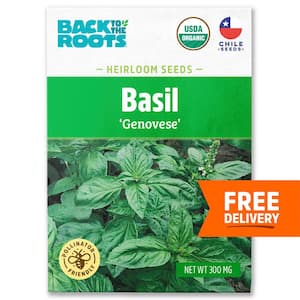 Organic Genovese Basil Seed (1-Pack)