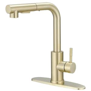 2 Sprayer Single Hole Single-Handle Pull Out Kitchen Faucet in Brushed Gold