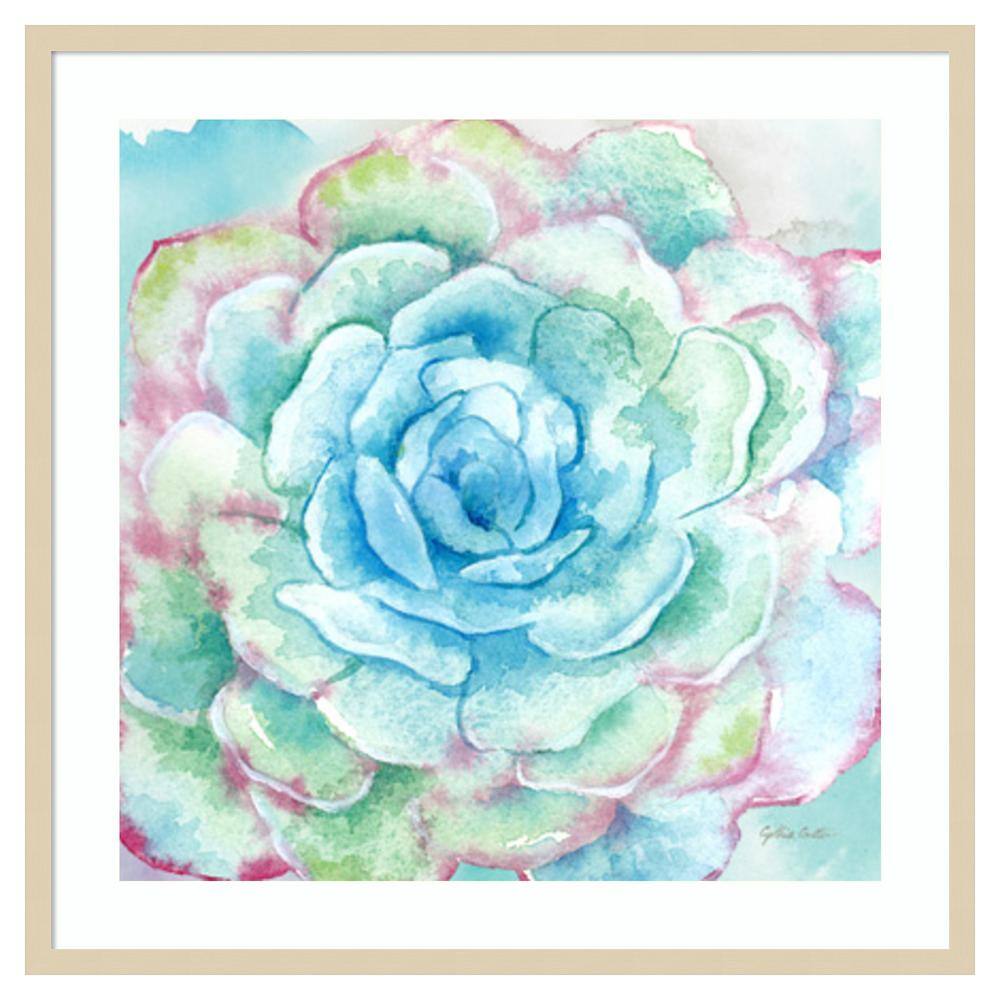 Sweet Succulents I Svelte Natural Framed Wall Art Print