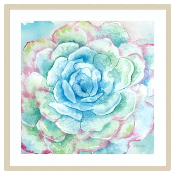 Amanti Art Sweet Succulents I by Cynthia Coulter 33 in. W x 33 in. H. Wood Framed Wall Art Print Framed in Brown