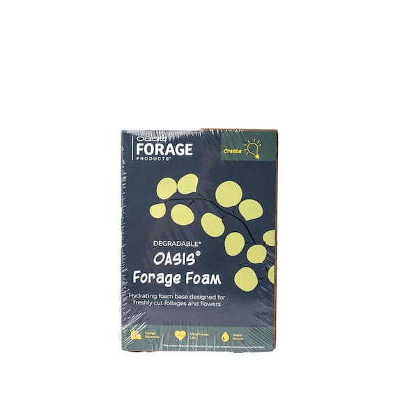 Forage Floral Foam, Brown (2-Pack)