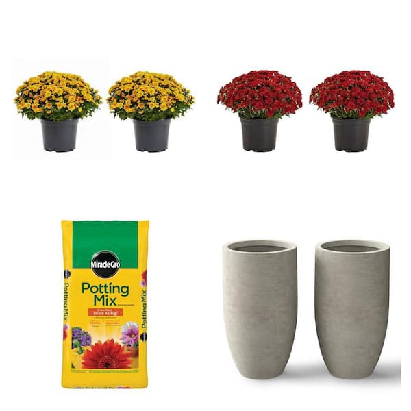 3 Qt. Orange Mum Plant (2-Pack), 3 Qt. Red Mum Plant (2-Pack), 50 Qt. Potting Mix, and 13.5 in. Gray Planter (Set of 2)
