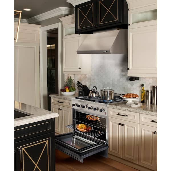30 in. 800 CFM Professional Style Stainless Steel Range Hood with Stainless Steel Baffles