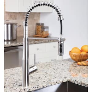 Neo Single-Handle Spring Pull-Down Sprayer Kitchen Faucet in Stainless Steel