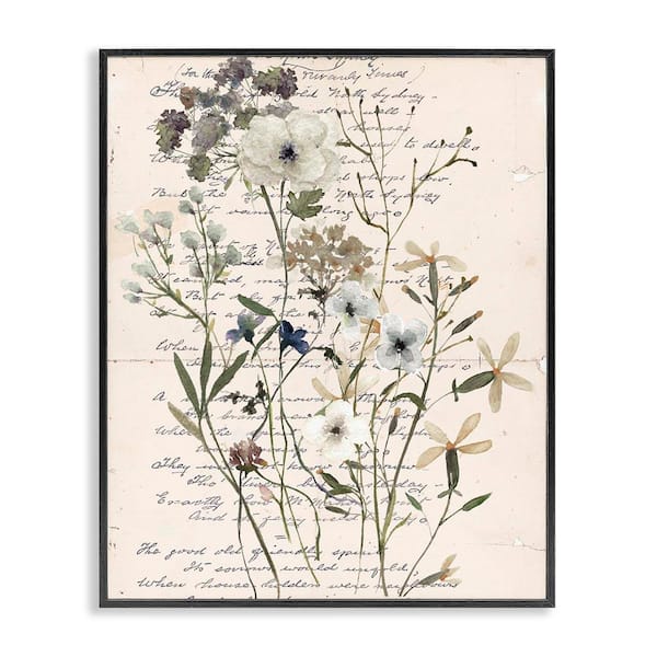 Stupell Industries Vintage Pressed Flowers by Carol Robinson Black Framed Nature Giclee Art Print 14 in. x 11 in.