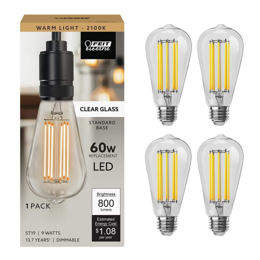 【新品未使用】VETRO No.19LED LIGHT EX Feit Electric 60-Watt Equivalent ST19 Dimmable Cage Filament Clear