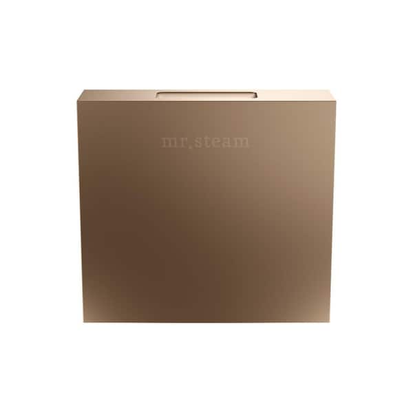 SQUARE STEAMHEAD IN NOUVEAU BRONZE